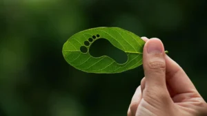 Gestión de huella de carbono